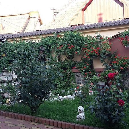 Pensiunea Beltina Rasinari Ngoại thất bức ảnh